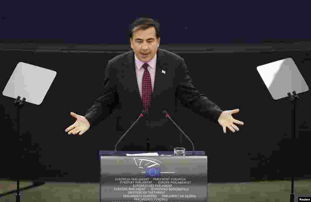 President Mikheil Saakashvili addresses the European Parliament in Strasbourg on November 23, 2010.