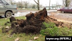 Державна служба України з надзвичайних ситуацій попереджає про пориви вітру до 15–18 метрів за секунду