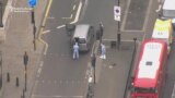Forensic Team Gathers Evidence After London Terror Arrest