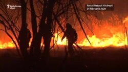 Incendiu în Delta Văcărești