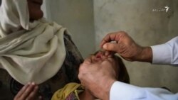 مومندو کې ماشومانو ته د شري ټیکې ورکول کېږي