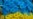 Україну врятує нова політична еліта – Богдан Гаврилишин