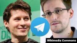 Pavel Durov və Edvard Snouden