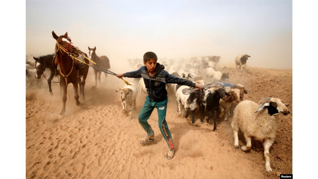 Mosul: Beg od rata