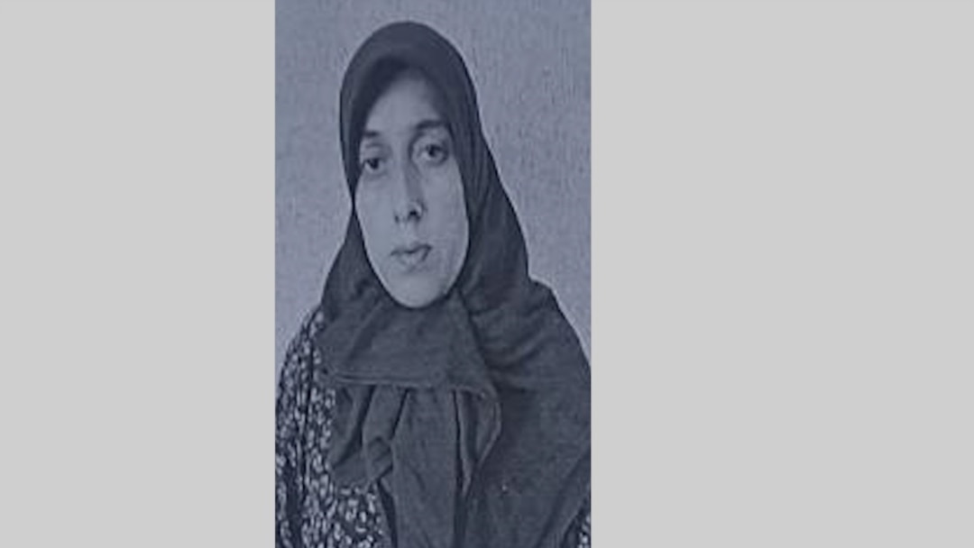 Желідегі жеке чат порно