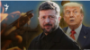 Украинският президент Володимир Зеленски и американският - Доналд Тръмп. Колаж