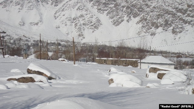 Ҳалокати мактабхони 9-сола дар Шуғнон дар пайи ҳамлаи як гург