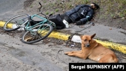 Un câine stă lângă cadavrul stăpânului său pe o stradă din orașul Bucea, nu departe de capitala ucraineană Kiev, 3 aprilie 2022.