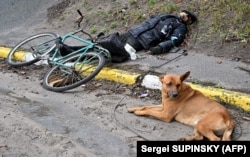 A dog lies next to the body of a man on a street in the town of Bucha on April 3.