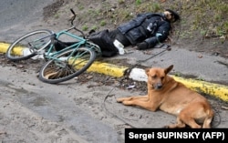 Un câine stă lângă cadavrul unui bărbat pe o stradă din Bucea, oraș situat la câteva zeci de kilometri de capitala ucraineană Kiev, 3 aprilie 2022.