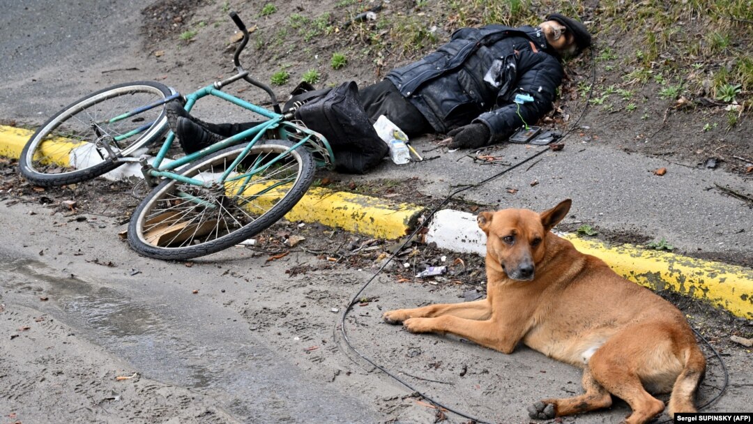 Un câine stă lângă cadavrul stăpânului său pe o stradă din orașul Bucea, nu departe de capitala ucraineană Kiev, 3 aprilie 2022.
