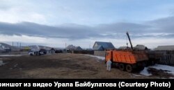 Кадры вывоза животных