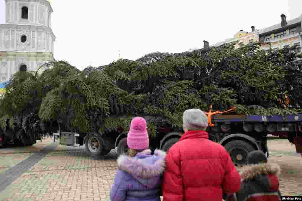 На Софійській площі почали встановлювати головну новорічну ялинку країни. Дерево породи &laquo;біла ялиця&raquo; висотою 25 метрів приїхало до Києва з Івано-Франківська. Київ, 5 грудня 2015 року