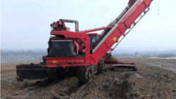 Moldova, Sugar beet harvested in March, Ocnița district