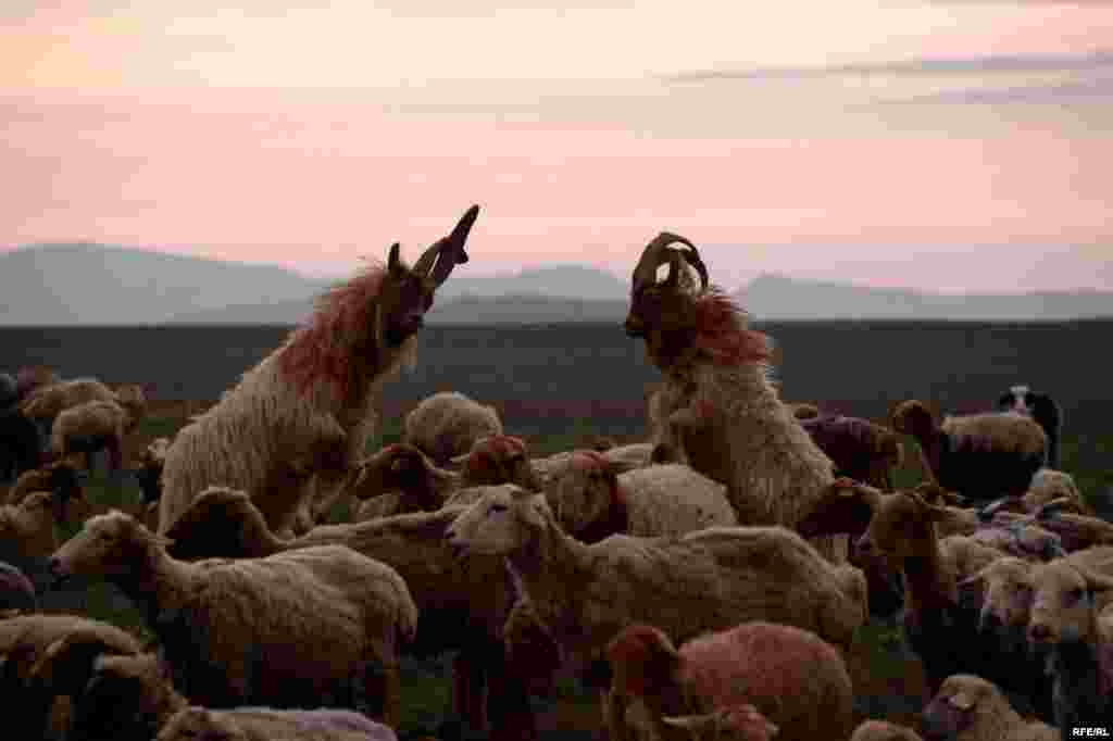 Кавказ тауларындагы борынгы Хыналык авылы #3