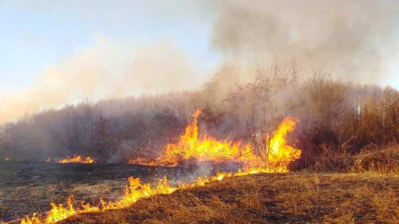 В Крыму продлили режим чрезвычайной пожарной опасности до начала октября