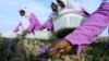 آیا زعفران افغانستان می‎تواند جای کوکنار را در این کشور بگیرد؟