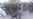 In Russia, Videos Of Police Violence Against Protesters Spark Outrage