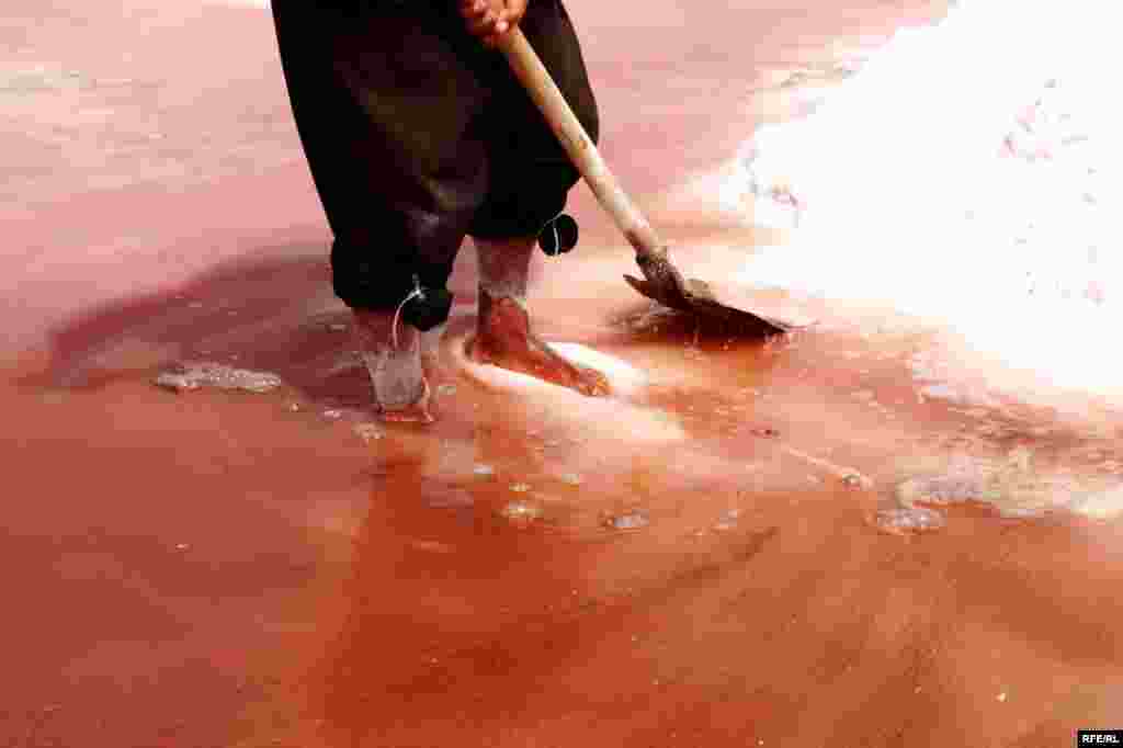 Çörəyi duzdan çıxaranlar #11