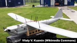 საილუსტრაციო ფოტო. წყარო: Wikimedia