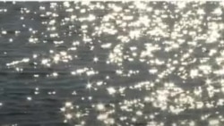 پیرمرد و دریا