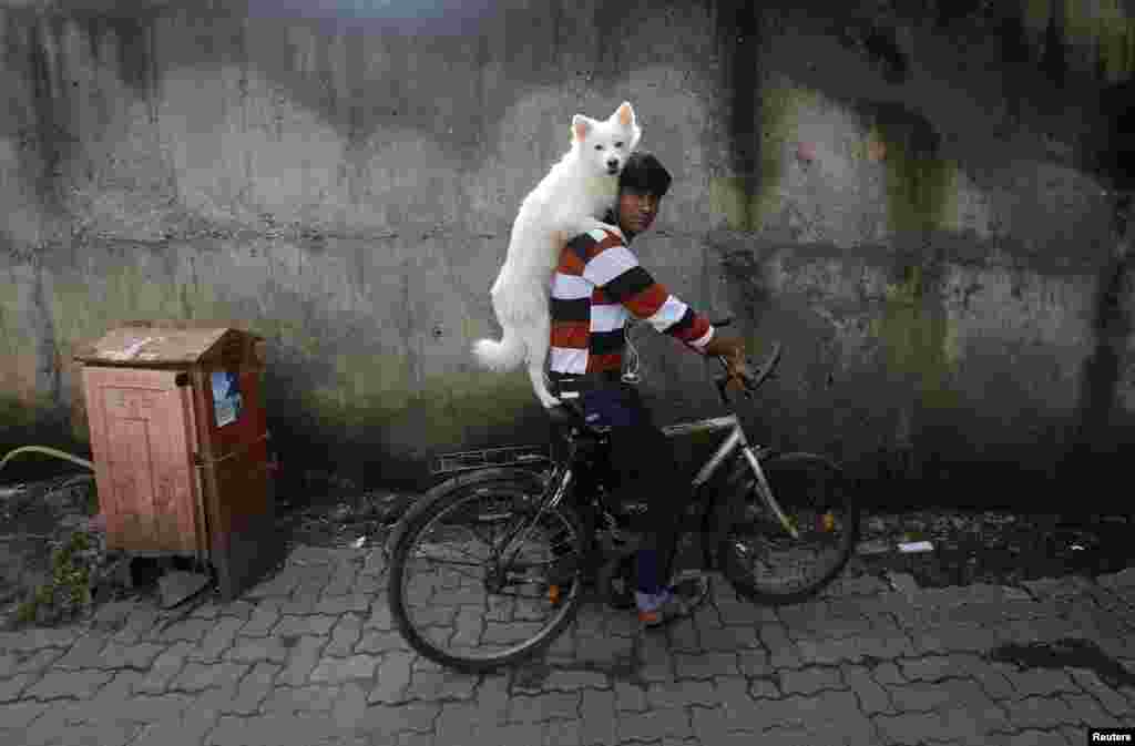 A man rides a bicycle as he carries his dog on his shoulders in Mumbai, India. (Reuters/Danish Siddiqui)