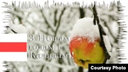 Фотапаштоўка Валера Дранчука. Яблык са Стаўпеччыны ў першым сёлетнім сьнезе