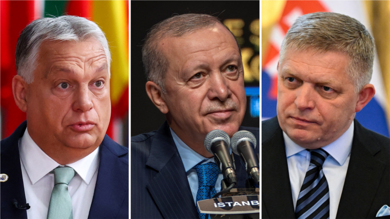 Turkey, Central Asia Look To Slovakia To Get Russian Oligarch Usmanov Off EU Sanctions List