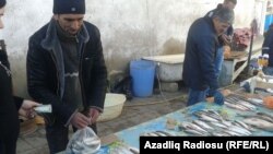 Balıq bazarı