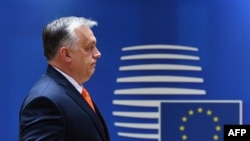Kryeministri hungarez, Viktor Orban. Fotografi nga arkivi. 