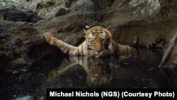 ارشیف؛ یوه هندۍ پرانګه