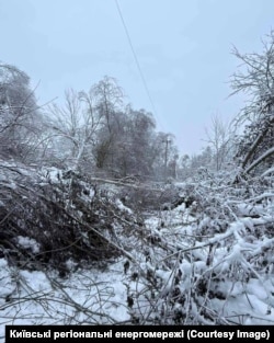 Обриви ліній електропостачання внаслідок обмерзання дротів і падіння дерев. Київщина, 14 січня 2025 року