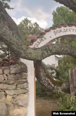 Дъбът расте до оградата на църквата "Рождество Богородично".