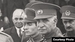 Ризошоҳи Паҳлавӣ.