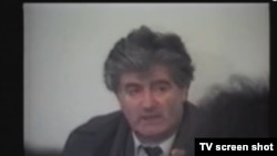 Radovan Karadžić uoči plebiscita 1991.