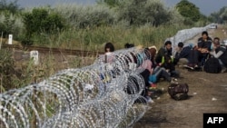 A migrant family rests beside the border fence near the village of Asotthalom, at the Hungarian-Serbian border. The razor-wire fence was cut by migrants seeking to enter Hungary.