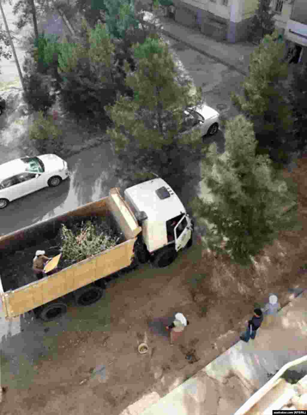 Garaşsyzlyk güni mynasybetli geçiriljek çäreleriň öňüsyrasy paýtagtda arassaçylyk işleri geçirilýär.