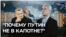 "Cтая чёрных лебедей над головами"