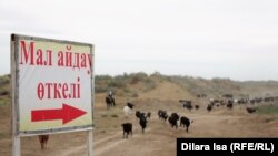გზის მაჩვენებელი ყაზახეთ-უზბეკეთის საზღვარზე