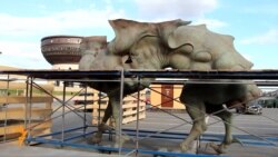 Казанга Намдаковның аждаһалары кайта башлады