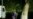 Nalchik Raids Trigger Harassment Against Muslims