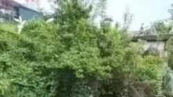 Un camion al militarilor francezi s-a prăbușit de pe un pasaj rutier din Vâlcea pe calea ferată