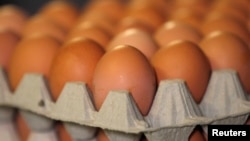За даними Держстату, ціна на курячі яйця знижувалася з лютого по травень