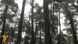 Ананімнае інтэрвію былога вязьня Свабодзе