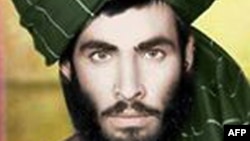 د طالبان د پخواني مشر ملا محمد عمر د ځوانۍ عکس چې په ۱۹۷۸ کال کې اخېستل شوی.