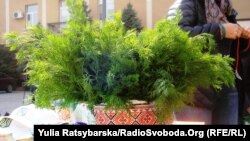 «Фестиваль паніки й істерики» у Дніпропетровську, 21 березня 2015 року