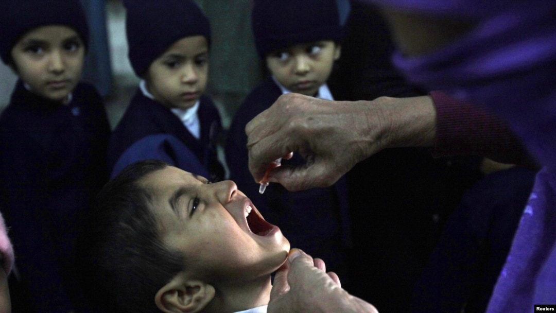 Nine polio-immunization workers have been killed by Islamist militants in the past week. 
