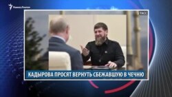 Видеоновости Кавказа 25 ноября