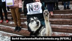 Фоторепортаж: Кияни протестували щодо участі тварин у циркових шоу