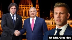 მადიარს “ორბანი 2-ად” აცხადებენ “ქართული ოცნების” მხარდამჭერები სოციალურ ქსელებში. 